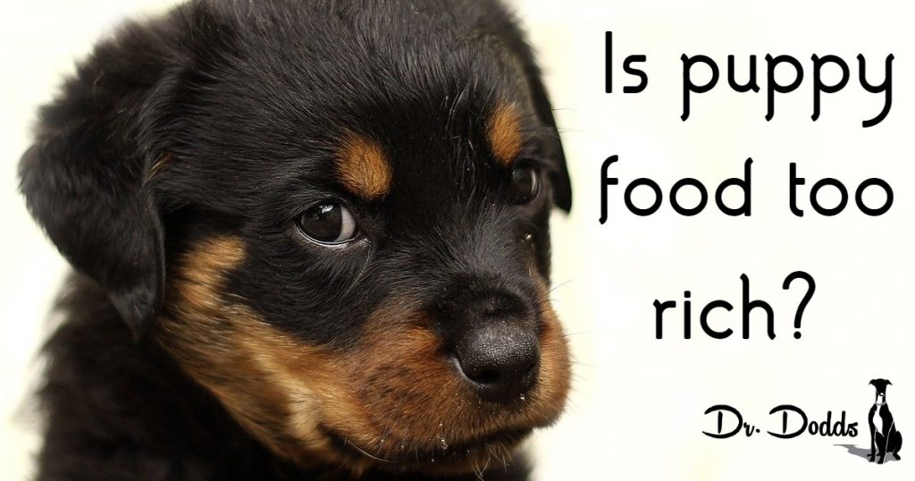puppy food