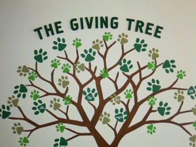 Hemopet-Hemopet.org-NutriScan-CellBIO-Garden-Grove-CA