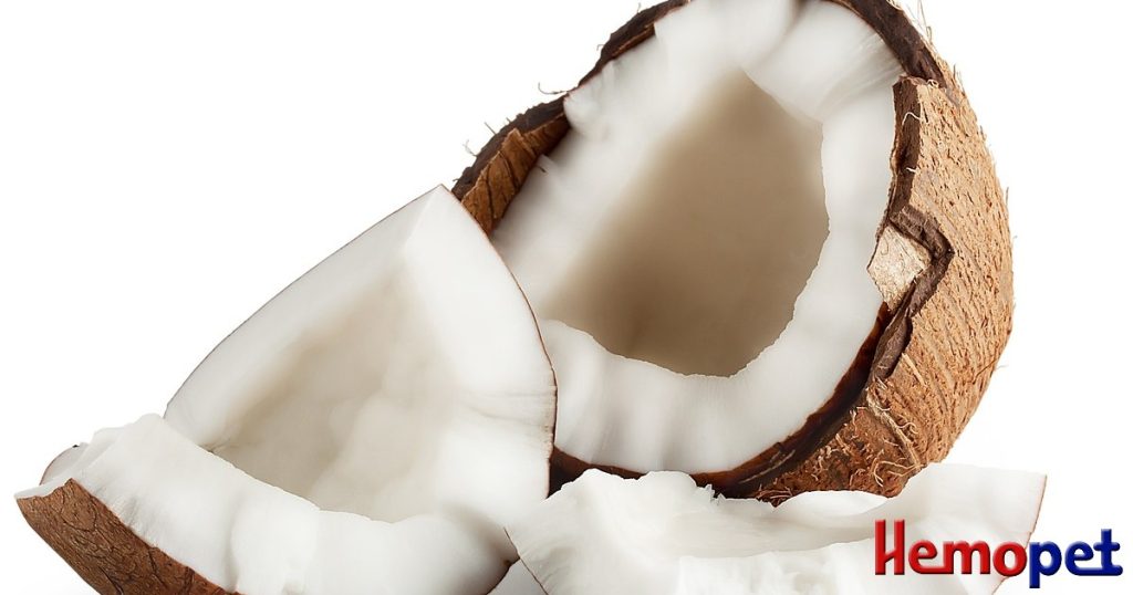 Coconut Oil: The "Good" Saturated Fat