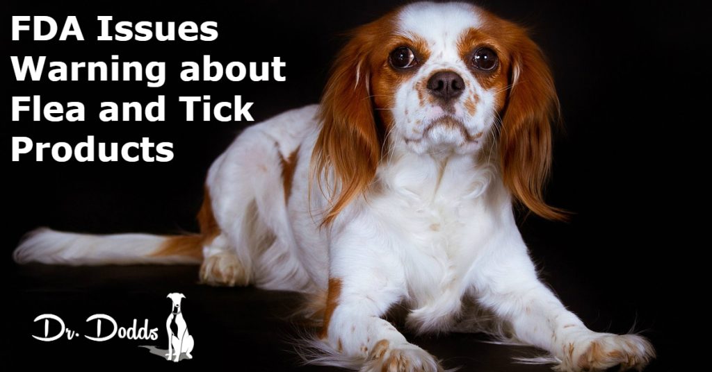 FDA Issues Warning about Flea and Tick Products