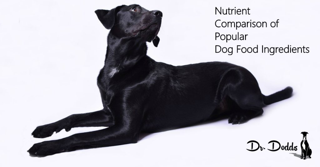 Nutrient Comparison of Popular Dog Food Ingredients